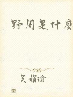 野周是什么意思