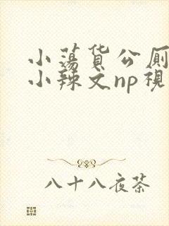 小荡货公厕h文小辣文np视频