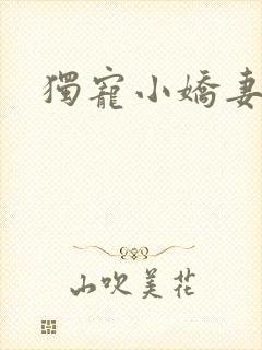 独宠小娇妻