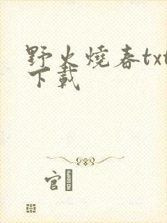 野火烧春txt下载
