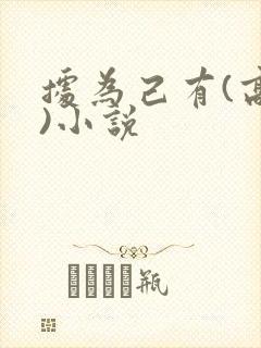 据为己有(高干)小说