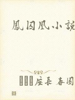 凤囚凰小说