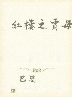 《红楼之贾母》小说封面