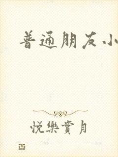 普通朋友小说