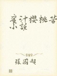 蜜汁樱桃苦咖啡小说