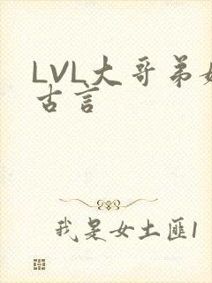 LVL大哥弟媳古言