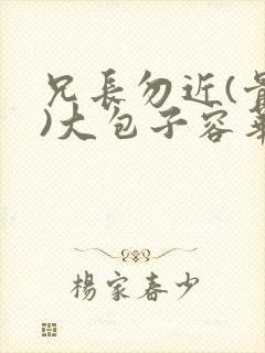 兄长勿近(骨科)大包子容华