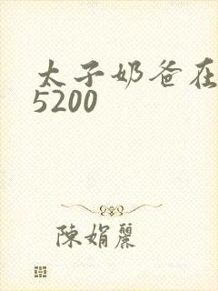 太子奶爸在花都5200