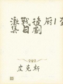 激战后厨1至5集日剧