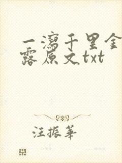 一泻千里金银花露原文txt