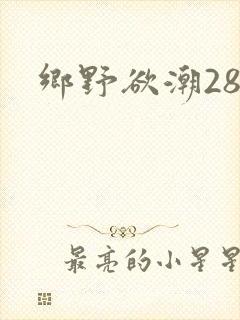 乡野欲潮28章