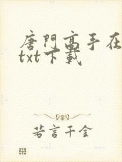 唐门高手在异世txt下载