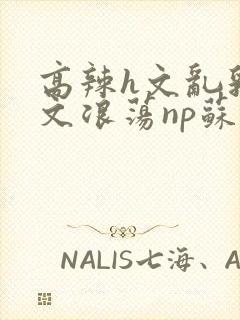 高辣h文乱乳h文浪荡np苏夏