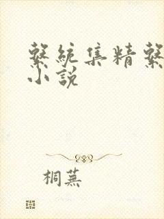 系统集精系统 小说