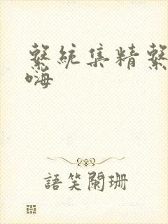 系统集精系统高嗨