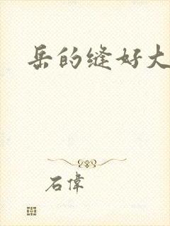 岳的缝好大封面