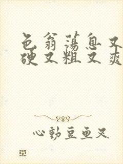 色翁荡息又大又硬又粗又爽