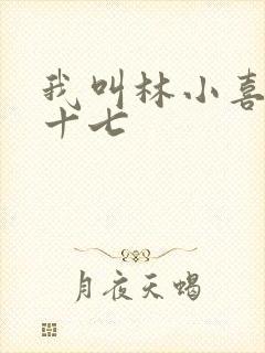 我叫林小喜今年十七