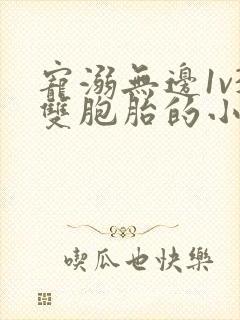 宠溺无边1v3双胞胎的小说