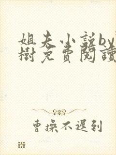 姐夫小说by野树免费阅读全文