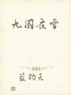 九国夜雪