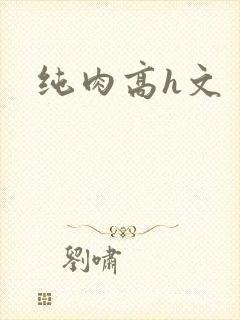 纯肉高h文