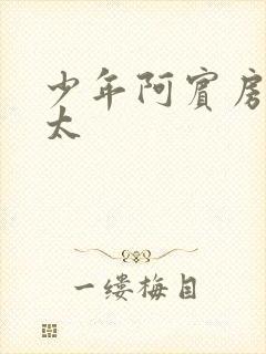 少年阿宾房东太太