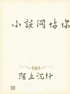 小说网站你懂的