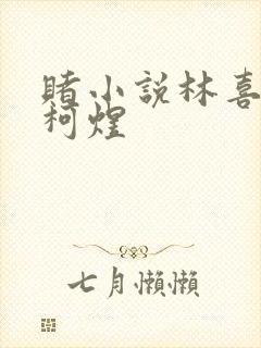 赌小说林喜朝和柯煜