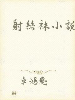 射丝袜小说