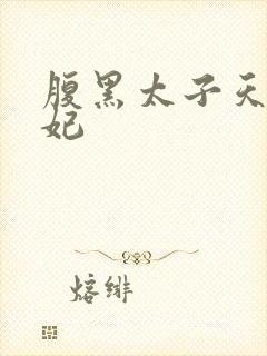 腹黑太子天降萌妃