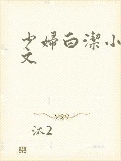 少妇白洁小说全文