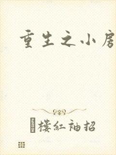重生之小房东