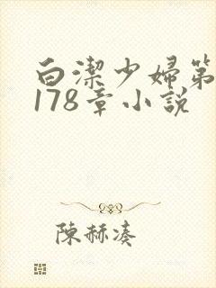 白洁少妇第1一178章小说