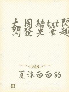 大团结txt闪闪发光笔趣阁