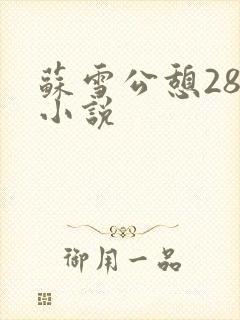 苏雪公憩28篇小说