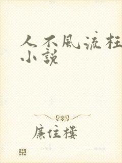 人不风流枉少年小说