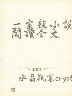 一家亲小说免费阅读全文