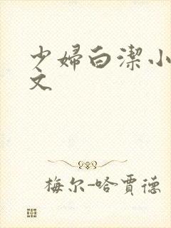 少妇白洁小说全文