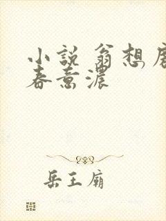 小说 翁想房中春意浓