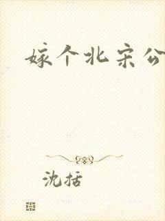 嫁个北宋公务员