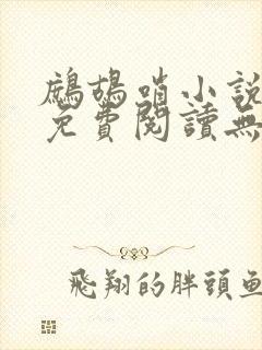 鹧鸪哨小说网站免费阅读无弹窗