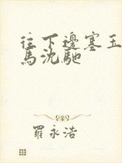 往下边塞玉器骑马沈驰