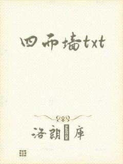 四面墙txt