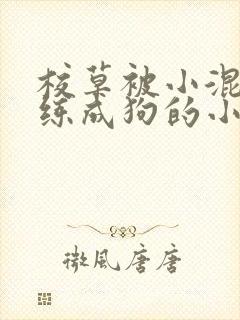 校草被小混混训练成狗的小说