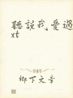 听说我爱过你txt