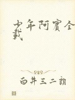 少年阿宾全集下载