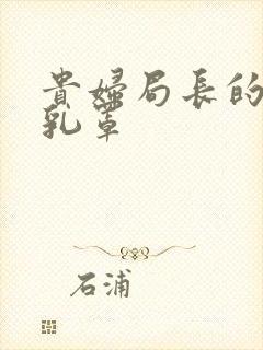 贵妇局长的蕾丝乳罩