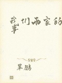 我们两家的荒唐事