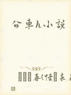 公车h小说